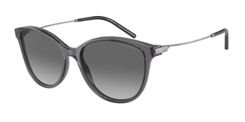 Emporio Armani EA 4220 610611