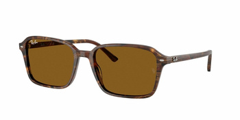 Ray-Ban RB 2231 Transparent Fantasy Brown