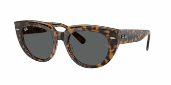 Ray-Ban RB 2286 Havana On Transparent Brown