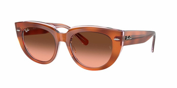 Ray-Ban RB 2286 Red Havana On Transparent Multicolour