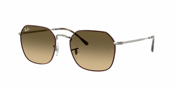 Ray-Ban RB 3694 Havana On Gunmetal