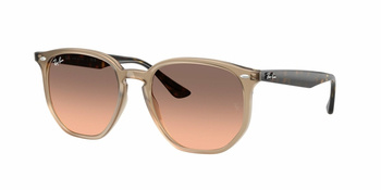 Ray-Ban RB 4306 Turtledove