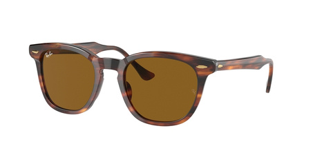 Sluneční brýle Ray Ban RB 2298 HAWKEYE 954/33