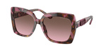 Plum Graphic Tortoise