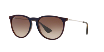 Ray-Ban RB 4171 ERIKA 631513