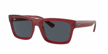 Ray Ban RB 4396 Warren 667987