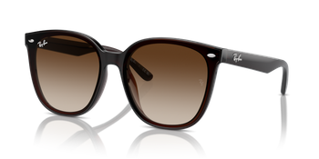 Ray-Ban RB 4423D 714/13