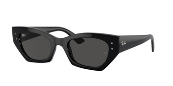 Ray Ban RB 4430 667787