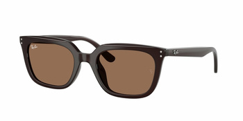 Ray-Ban RB 4439D 623173