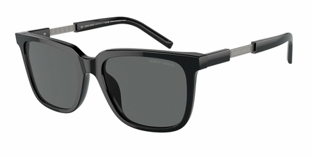 Giorgio Armani AR 8202U 587587