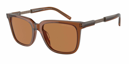 Giorgio Armani AR 8202U 604973