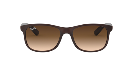 Ray Ban Rb 4202 Andy Sonnenbrille 6073/13