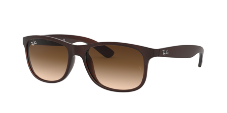Ray Ban Rb 4202 Andy Sonnenbrille 6073/13
