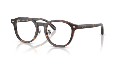 Ray-Ban RX 5443D 2012