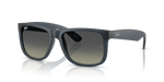 Ray-Ban RB 4165 681311