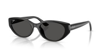 Ray-Ban RB 4457D 667787