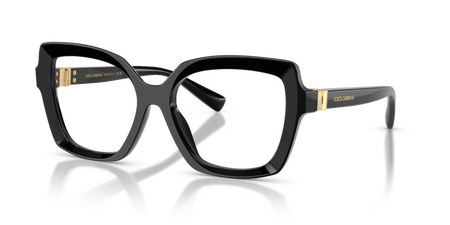 Dolce & Gabbana DG 3413 501