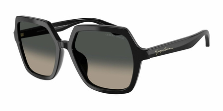 Giorgio Armani AR 8193U 500119