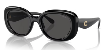 Okulary Przeciwsłoneczne Coach HC 8391U 500287