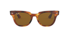 Ray-Ban RB 2168 METEOR 954/33