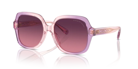 Coach HC 8395U 5813F4