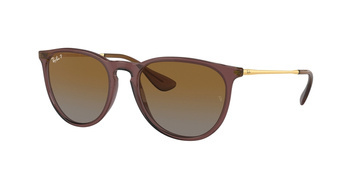 Ray-Ban RB 4171 ERIKA 6593T5