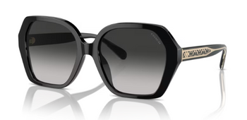 Sluneční brýle Coach HC 8404U 50023C