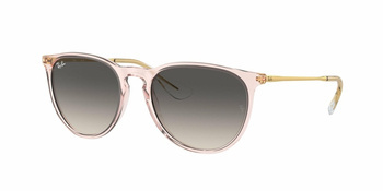 Ray-Ban RB 4171 Erika 674211