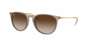 Ray-Ban RB 4171 Erika 674413