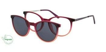 Solano CL 90135 F Sonnenbrille