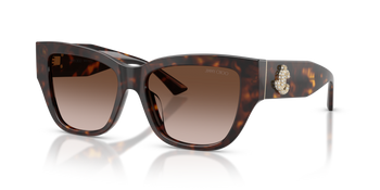 Jimmy Choo JC 5039BU 500213