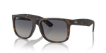 Ray-Ban RB 4165 865/8S