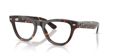 Ray-Ban RX 5510 2012