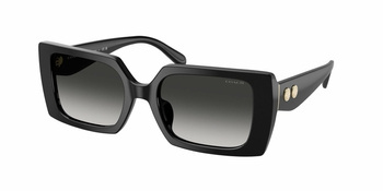Sluneční brýle Coach HC 8409U 50023C