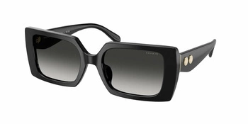 Coach HC 8409U 50023C