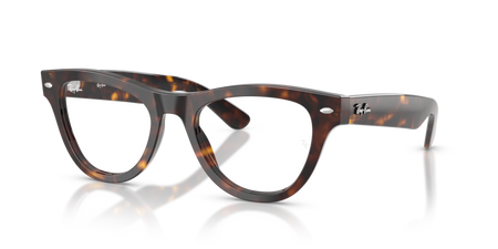 Ray-Ban RX 5510 2012