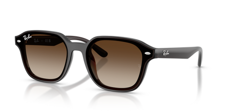 Ray-Ban RB 4458D 714/13