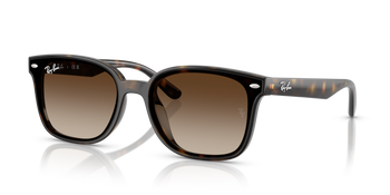 Sluneční brýle Ray-Ban RB 4461D 710/13