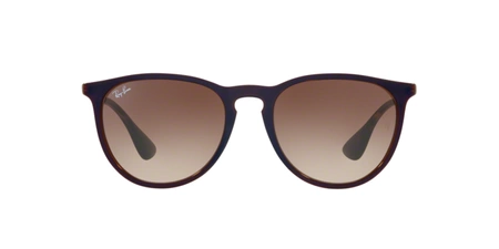 Ray Ban Rb 4171 Erika 6315/13