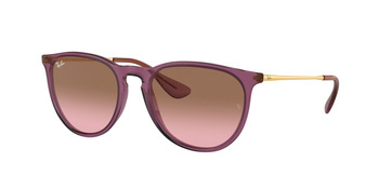 Ray-Ban RB 4171 ERIKA 659114