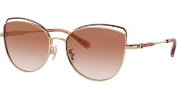 Sluneční brýle Coach HC 7162 900513