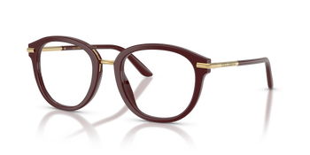 Dolce & Gabbana DG 3410 3091