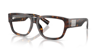 Dolce & Gabbana DG 3423 502