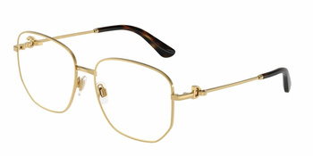 Dolce & Gabbana DG 1356 02