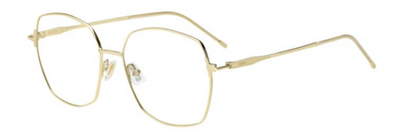 Brille BOSS 1788 J5G