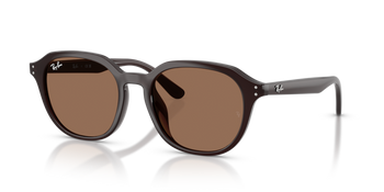 Ray-Ban RB 4459D 623173
