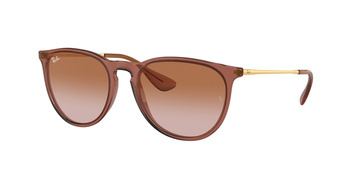 Ray-Ban RB 4171 ERIKA 659013