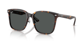 Okulary przeciwsłoneczne Ray-Ban RB 2206D 710/87