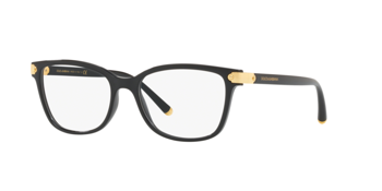 Dolce & Gabbana DG 5036 501