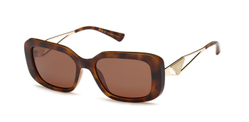 Anne Marii AMS 20063 C